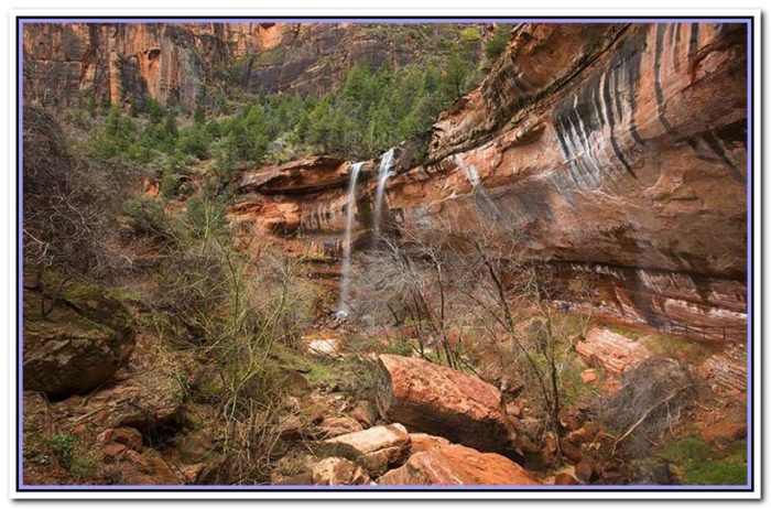 zion national park camping